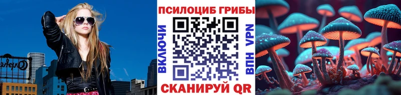 Псилоцибиновые грибы прущие грибы  наркотики  Волоколамск 